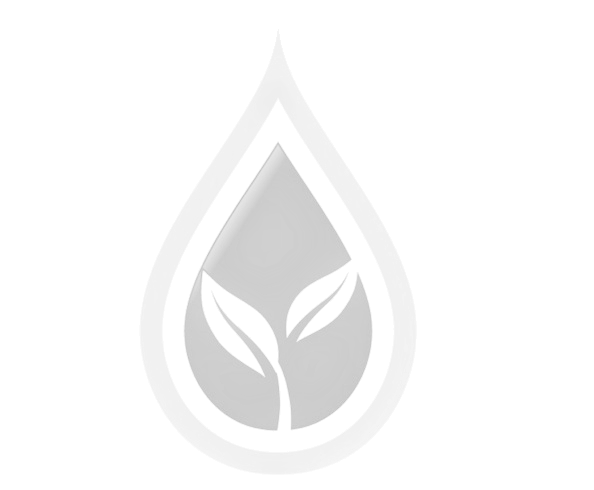 株式会社 東京自宅葬儀社 燈
